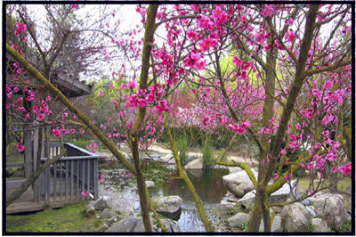 Public And Demonstration Gardens In Fresno