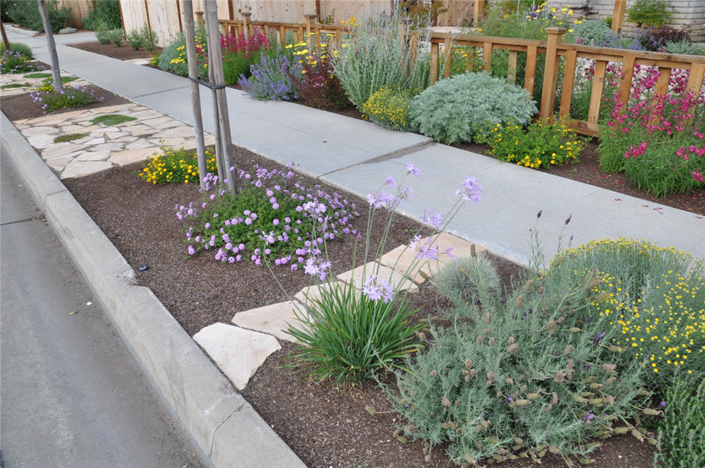 Park Strip Planting