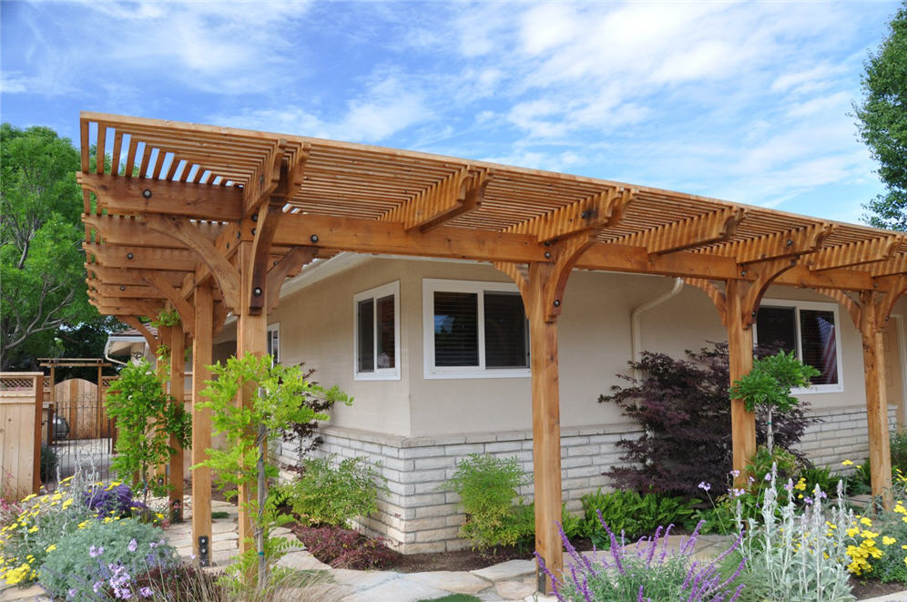 Pergola and Vines