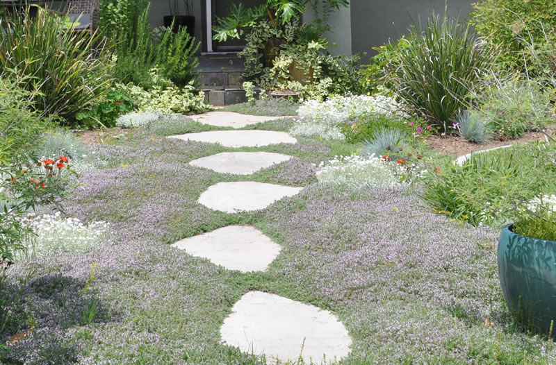 Magical Path