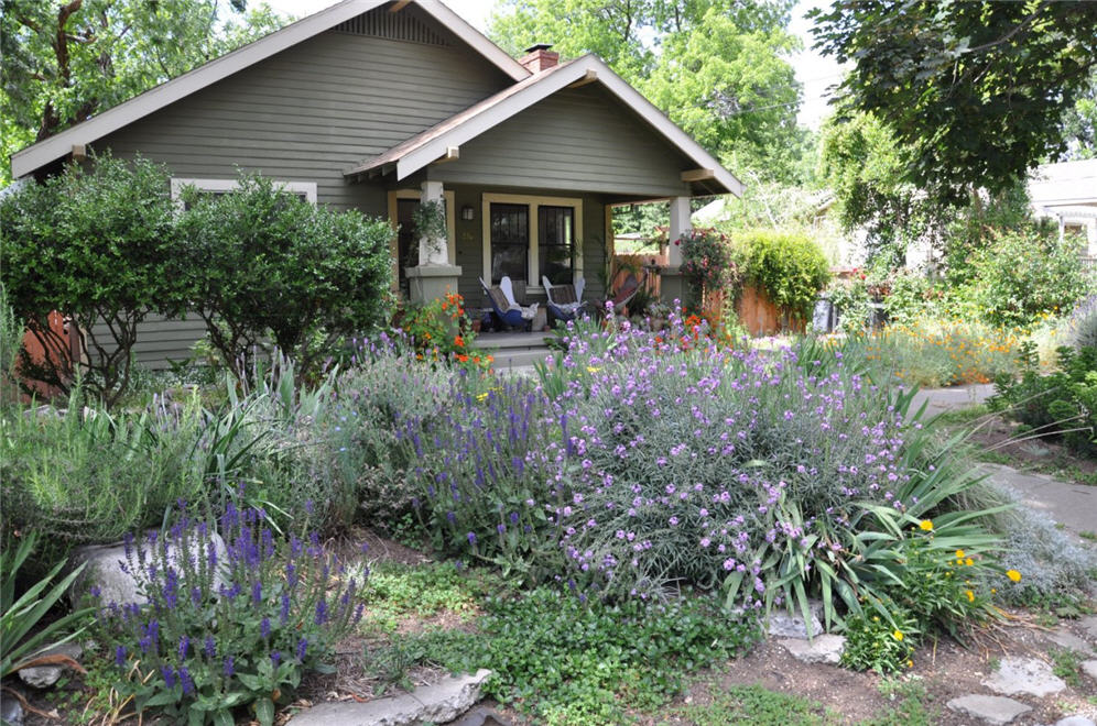 Flower Garden View