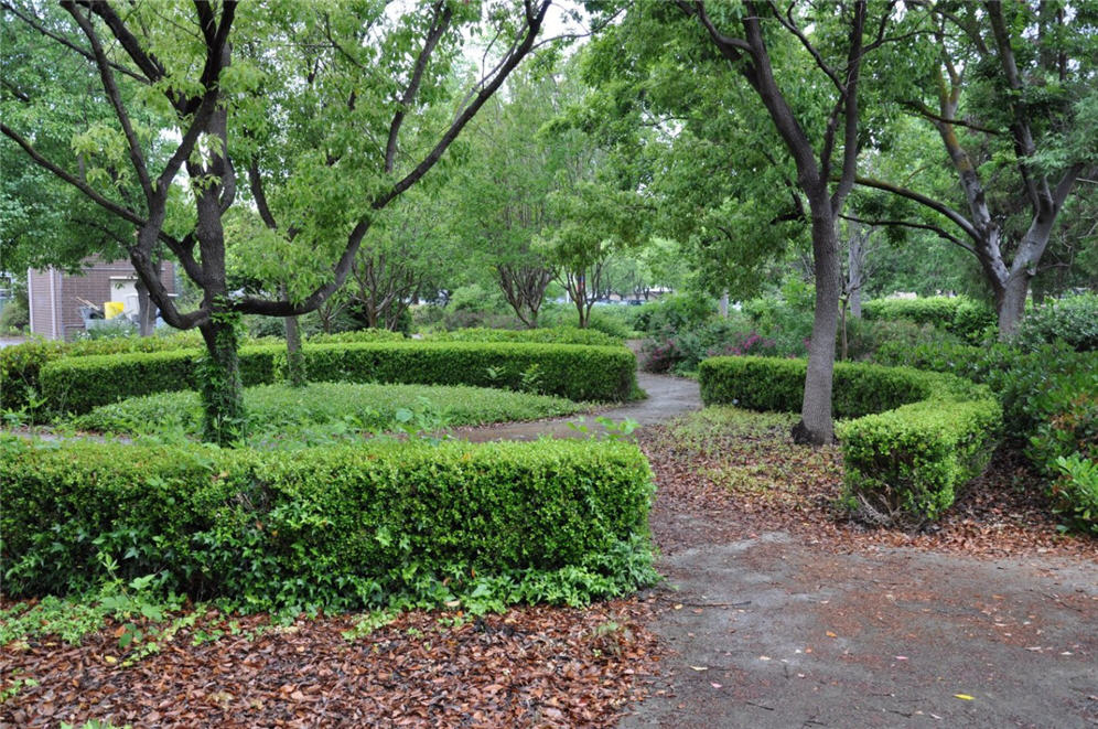 Tree Garden