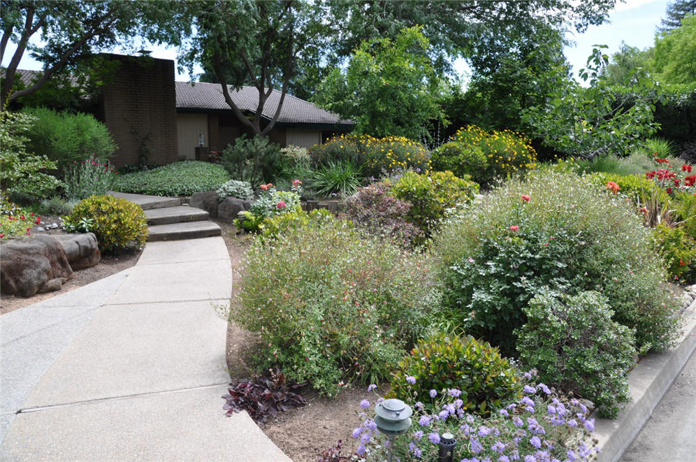 Wide Walkway