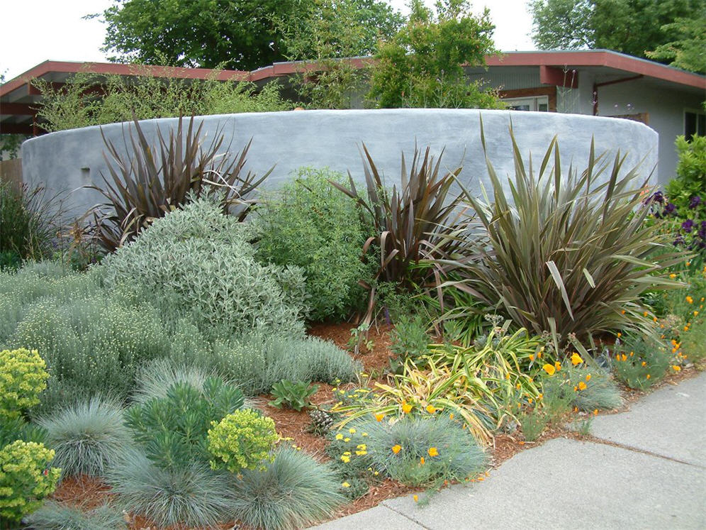 Colorful Textural Perennial Bed